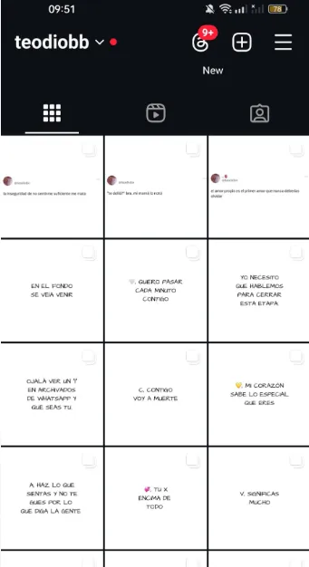 Perfil principal de la Cuenta de Instagram (Frases) 300K seguidores